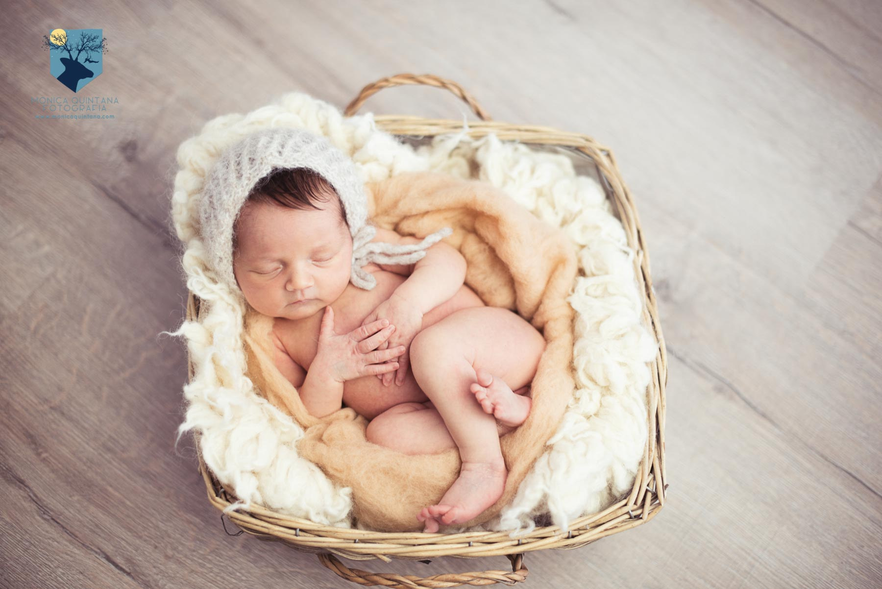 fotografia fotos estudio fotografo bebes recien nacidos figueres girona