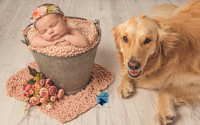 Fotos a recién nacida y su mascota