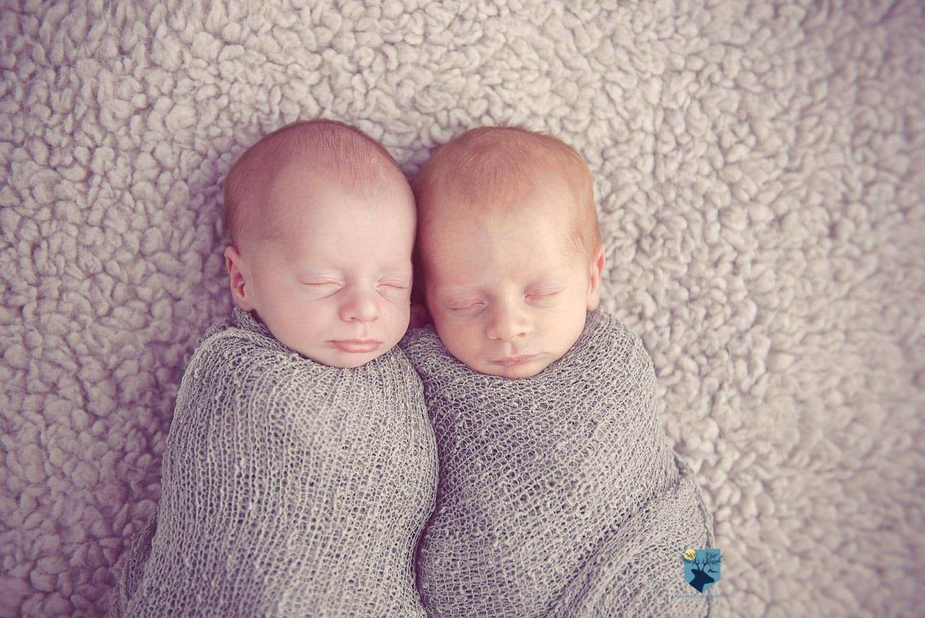 fotografia fotos fotografo fotografa fotograf girona figueres emporda, monica quintana, bebes niños, recien nacido, newborn familia retrato gemelos bessons nado fotos de gemelos recién nacidos